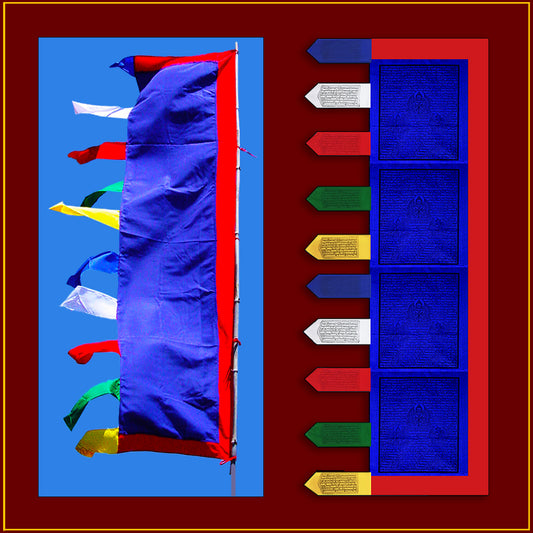 6 foot - Health & Longevity